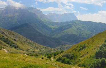 Naklejka premium Summer in mountains