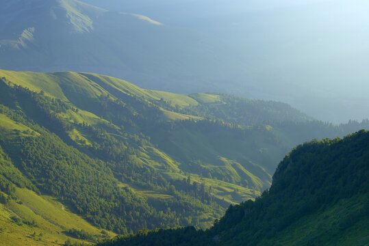 Mone Bilder Durchsuchen 3,247 Archivfotos, und Videos