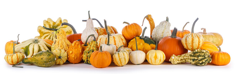 Many pumpkins isolated on white