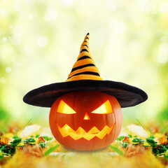 Halloween pumpkin on autumn foliage