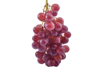 Red grape isolated on white background.