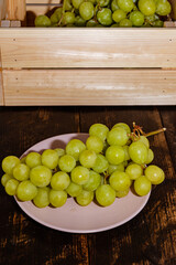 Uva rosada y uva blanca italiana fresca recién cosechada