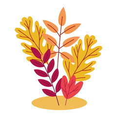 autumn trees branches and leafs cultivating scene