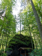 Bayerische Landschaft. Sutten Feuchgebiet durch das idyllische Rottachtal. Der Weg um den Wald am...