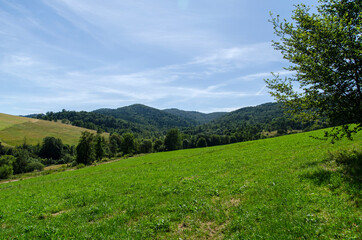 Fototapeta na wymiar Bieszczady Panorama 