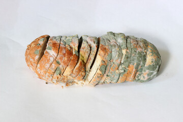 Old loaf of bread covered with white and green mold and fungus. Dangerous food
