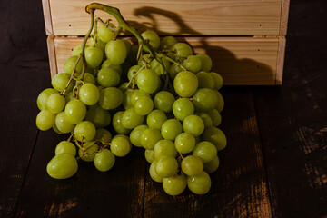Uva rosada y uva blanca italiana fresca recién cosechada