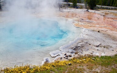 Yellowstone National Park