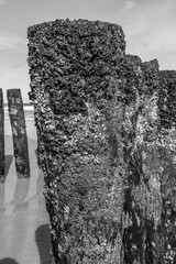 Groyne affected by nature over time