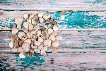 Small sea shells are scattered on a blue wooden background. Copy spaes.