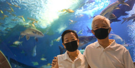 Underwater tunnel aquarium with Asian senior elder couple wear mask dating have fun happy together