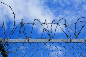 フェンスに取り付けられた有刺鉄線