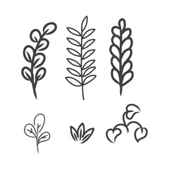 Hand drawn collection about leaves in black and white color.