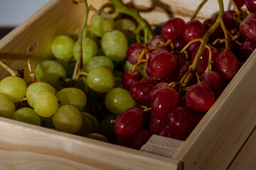 Uva rosada y uva blanca italiana fresca recién cosechada