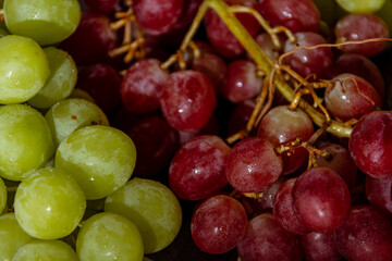 Uva rosada y uva blanca italiana fresca recién cosechada