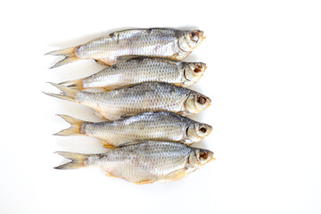 isolated close up top view dried salted caspian roach fish on a white background