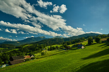 Fototapeta na wymiar Berglandschaft in der Schweiz - grünes Weideland in Kanton St. Gallen