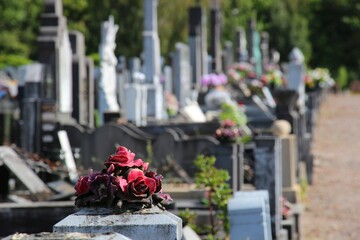 cimetière, tombeaux, croix, christ, ornement, fleurs, tristesse