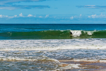 Surfer on small wave in brazilian beach