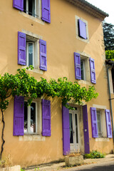 Fototapeta na wymiar old house in provence france, amazing colors with a purple and yellow house and a green tree | 