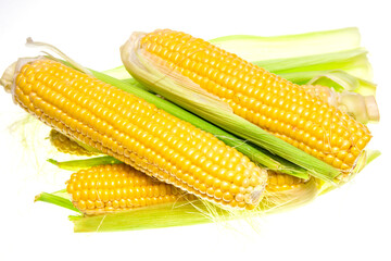 Corn on a white background.