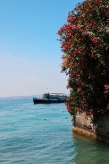 boat view with beautiful flowers at Lago di Garda, Sirmione, Italy 