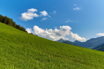 Berglandschaft in der Schweiz - grünes Weideland in Kanton St. Gallen