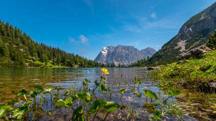 Zugspitze