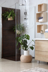 Fototapeta na wymiar Bathroom interior with shower stall and houseplants. Idea for design