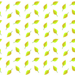 Autumn eaves seamless pattern isolated on white. Vector illustration