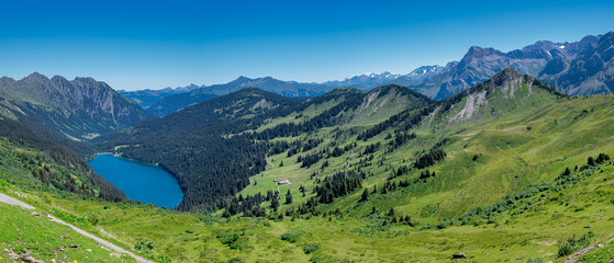 Panoramic view on Arnensee in the swiss alps with forests and alpine willows