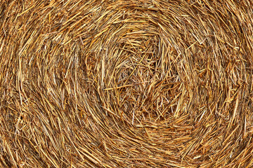 Zusammengerolltes Heu - Landwirtschaft