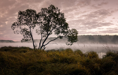Fototapeta na wymiar Foggy morning on the lake in autumn, Russia, Ural