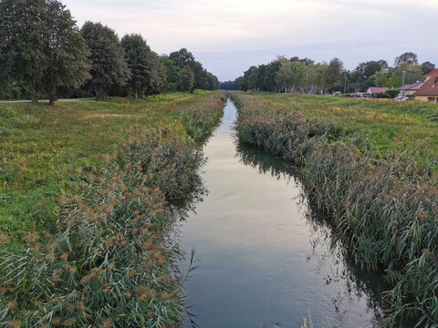 Der Fluss Schwarze Elster in Brandenburg