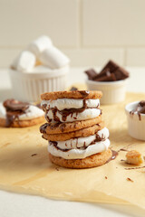 cookie and chocolate sandwich 
