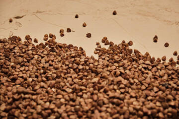 buckwheat on a backdrop. rustic buckwheat background. buckwheat in a wooden pot.