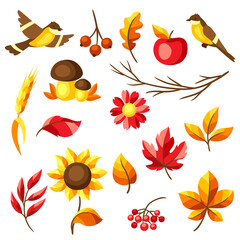 Set of autumn leaves and items.