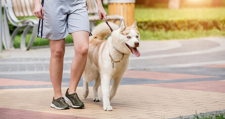 Owner walking with husky dog at the park.