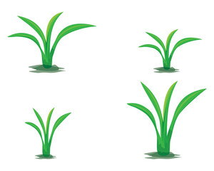Fototapeta na wymiar Green plant vector design