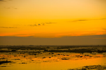 Morning reservoir in Thailand Beautiful morning view The red lotus sea of thailand