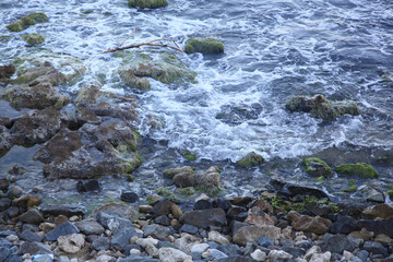 Fototapeta premium seashore in stones