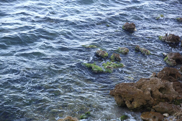 sea ​​shore made of stones