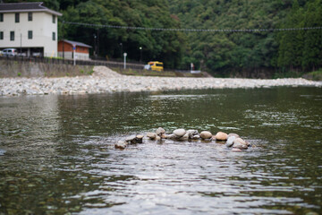 川湯温泉の風景