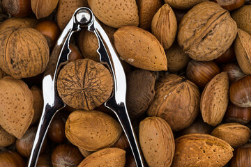 nutcrackeron pile of nuts background