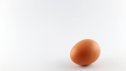 eggs on white background