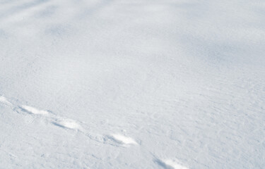 冬　雪　足跡　素材