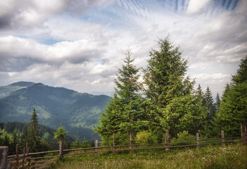 Beautiful summer landscape in the mountains. Carpathians, Ukraine