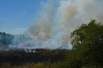 the grass is on fire