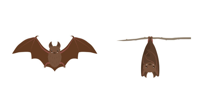 ぶら下がる Images Browse 1 639 Stock Photos Vectors And Video Adobe Stock