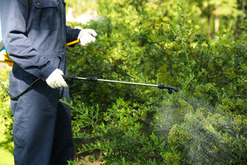 Worker spraying pesticide onto green bush outdoors, closeup. Pest control - obrazy, fototapety, plakaty